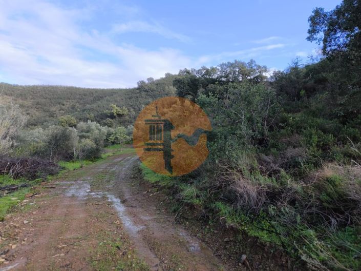 Image No.26-Plot for sale