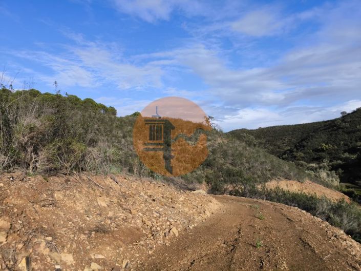 Image No.30-Plot for sale