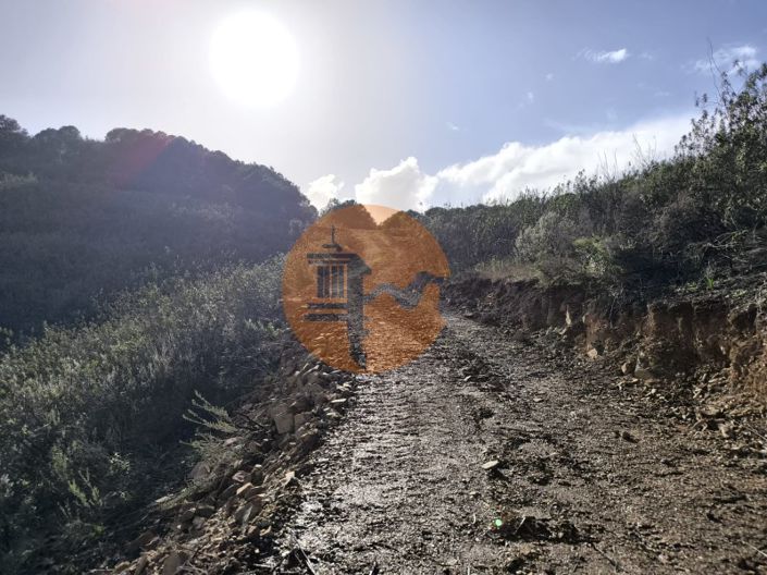 Image No.32-Plot for sale