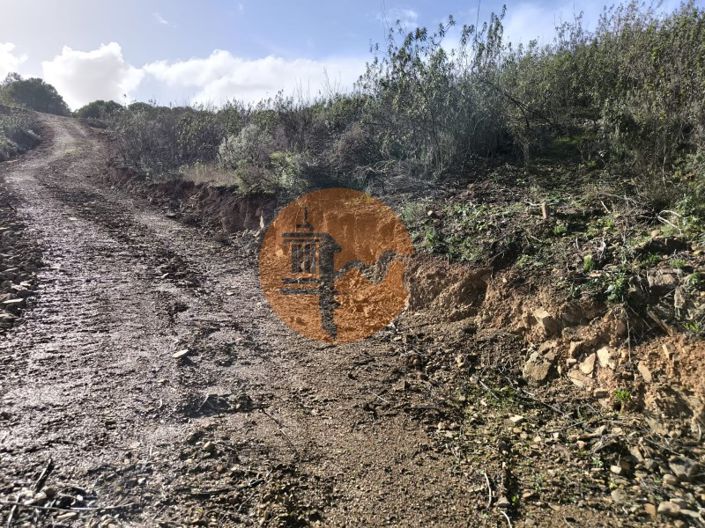 Image No.33-Plot for sale