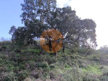 idcdc0bf01-0000-0500-0000-000018673e92