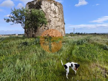 id7bf4c501-0000-0500-0000-000018e5c055