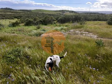 id7bf4c501-0000-0500-0000-000018e5c058