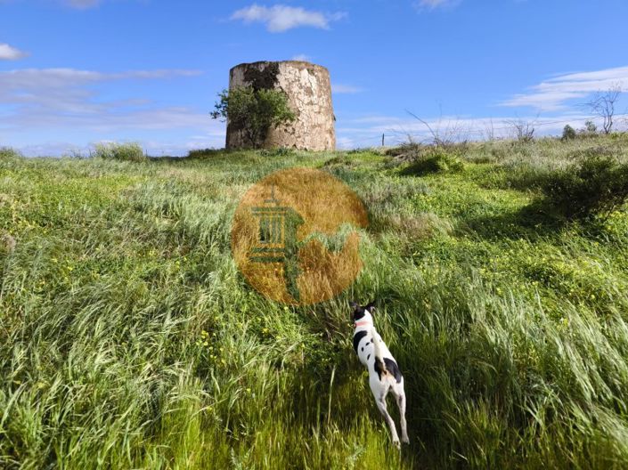 Image No.18-Plot for sale