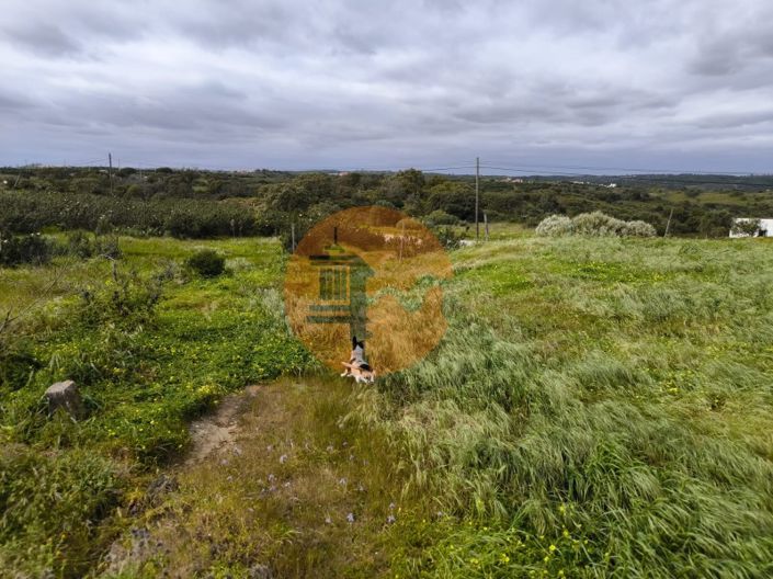 Image No.26-Plot for sale