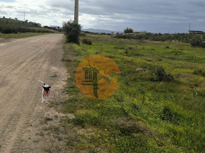 Image No.31-Plot for sale