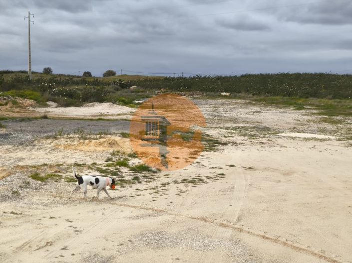 Image No.36-Plot for sale