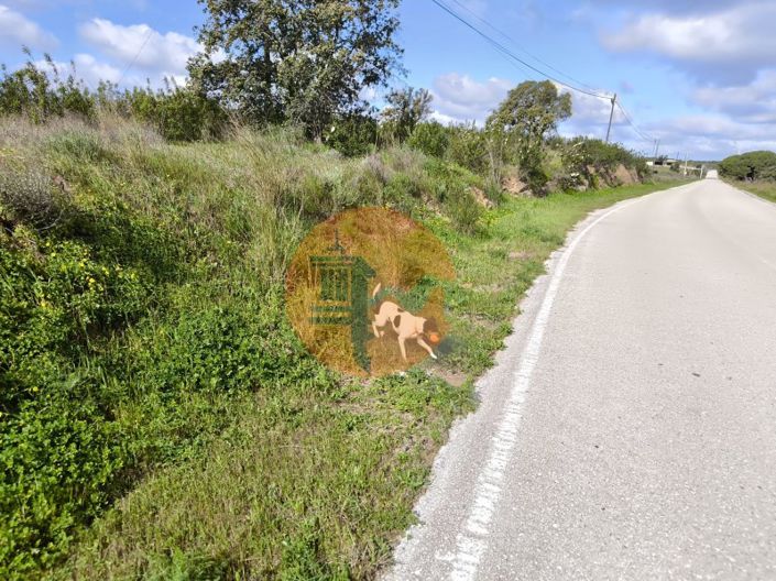 Image No.6-Plot for sale