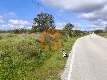 id7bf4c501-0000-0500-0000-000018e5c04a