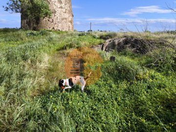 id6f41ba01-0000-0500-0000-000018bc8ecf