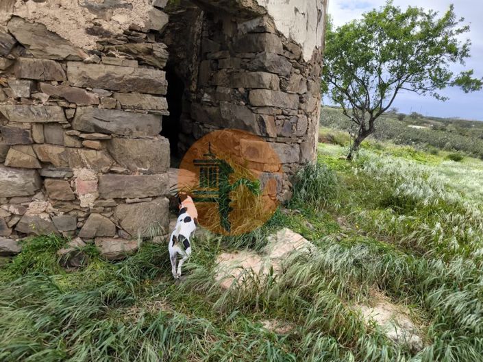 Image No.16-Plot for sale