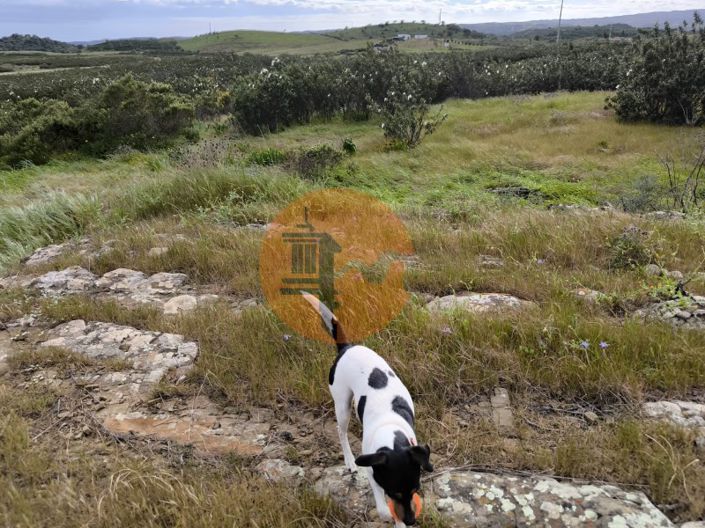 Image No.24-Plot for sale