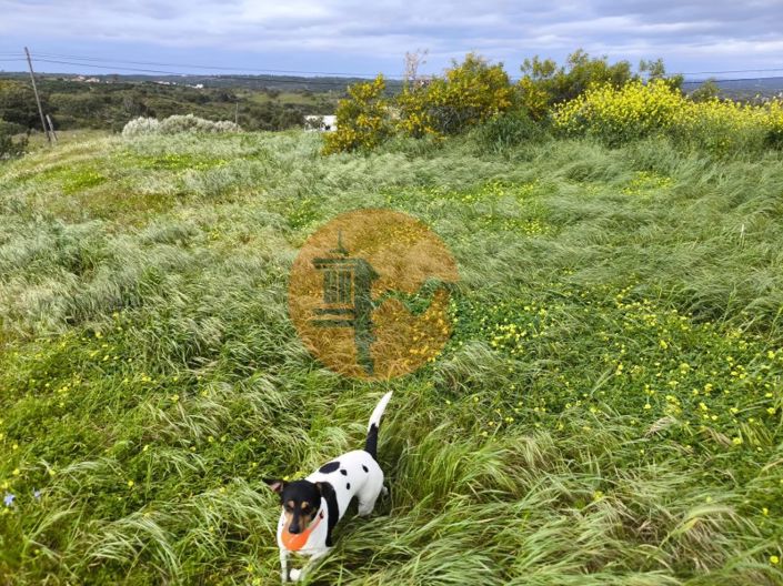 Image No.25-Plot for sale