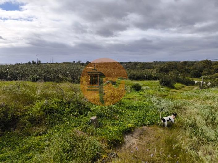 Image No.27-Plot for sale