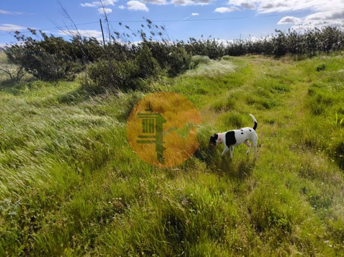 Image No.9-Plot for sale