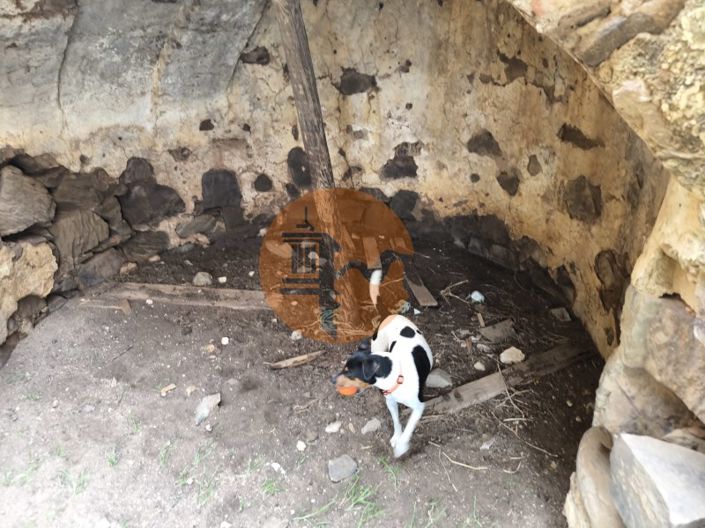 Image No.13-Commercial for sale