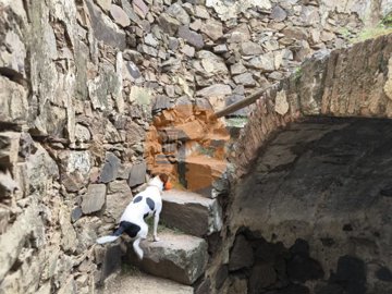 id73f4c501-0000-0500-0000-000018e5bfa6