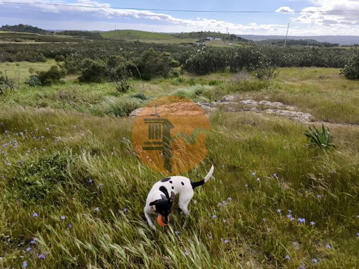 Image No.16-Commercial for sale