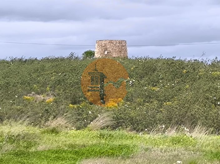 Image No.3-Commercial for sale