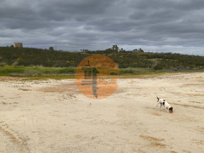 Image No.34-Commercial for sale