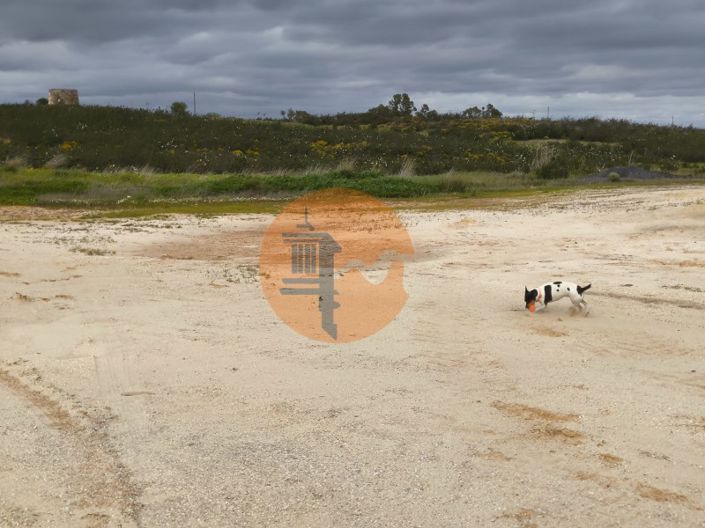 Image No.37-Commercial for sale