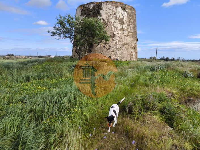 Image No.6-Commercial for sale