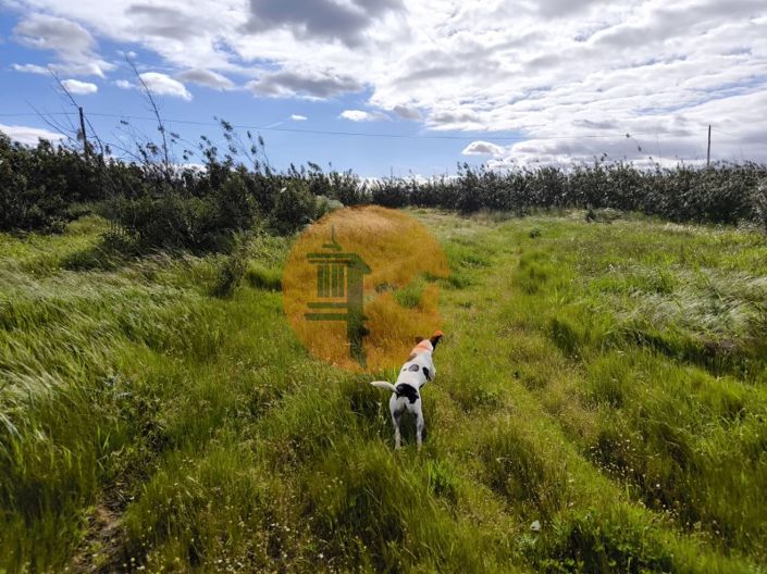 Image No.9-Commercial for sale