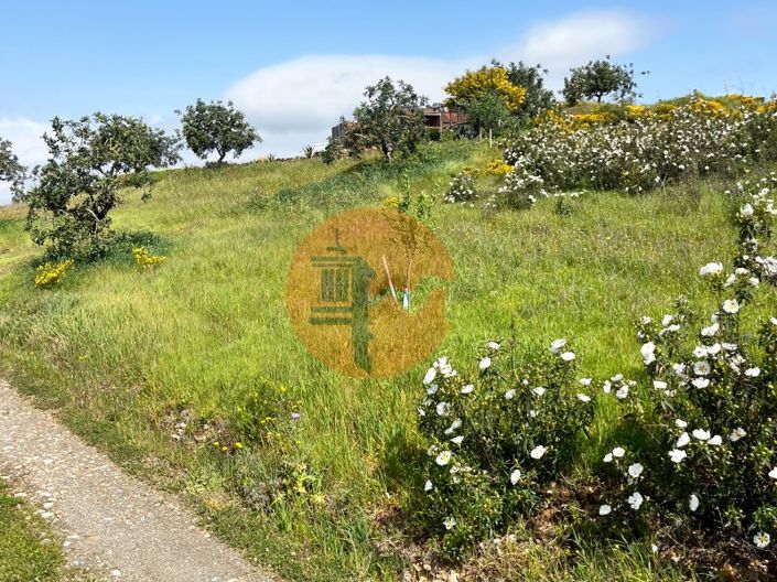 Image No.11-Plot for sale