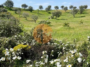 id13f7c301-0000-0500-0000-000018f15b63