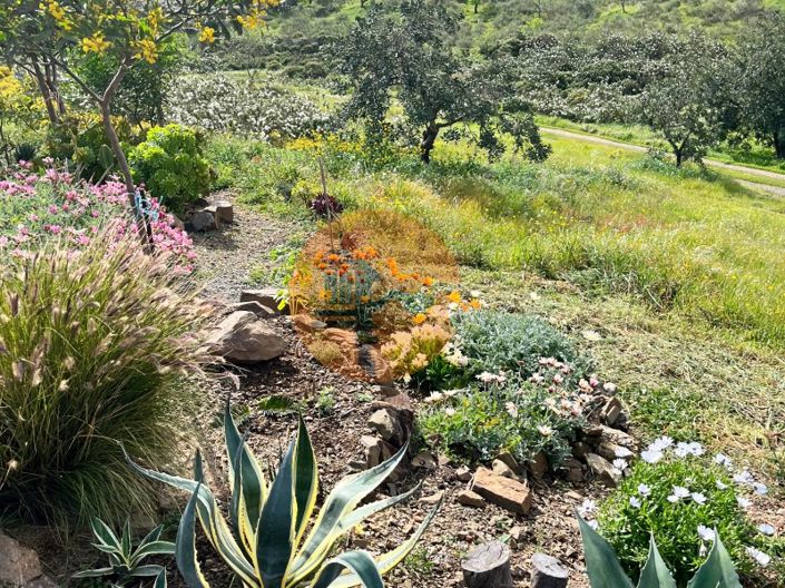 Image No.3-Plot for sale