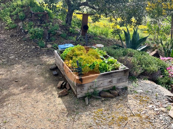 Image No.9-Plot for sale