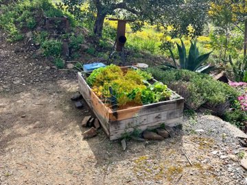 id13f7c301-0000-0500-0000-000018f15b77