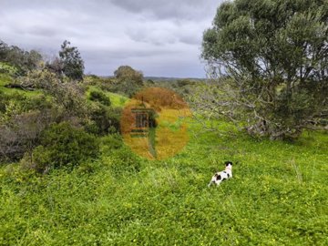 id50e4c101-0000-0500-0000-000018bc9c92