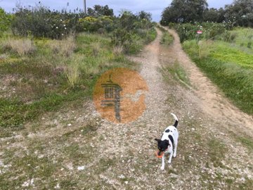 id50e4c101-0000-0500-0000-000018bc9c8a