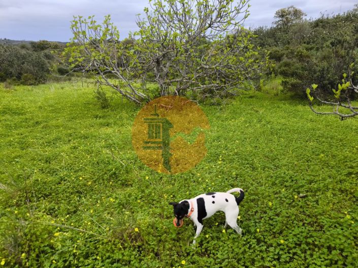 Image No.15-Plot for sale