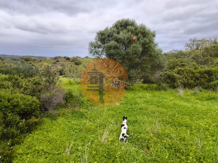 Image No.17-Plot for sale