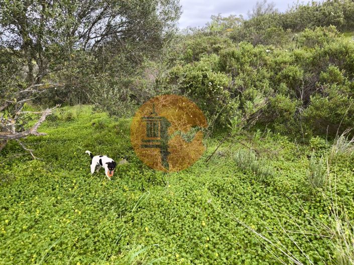 Image No.18-Plot for sale