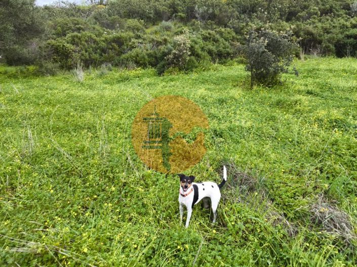 Image No.19-Plot for sale