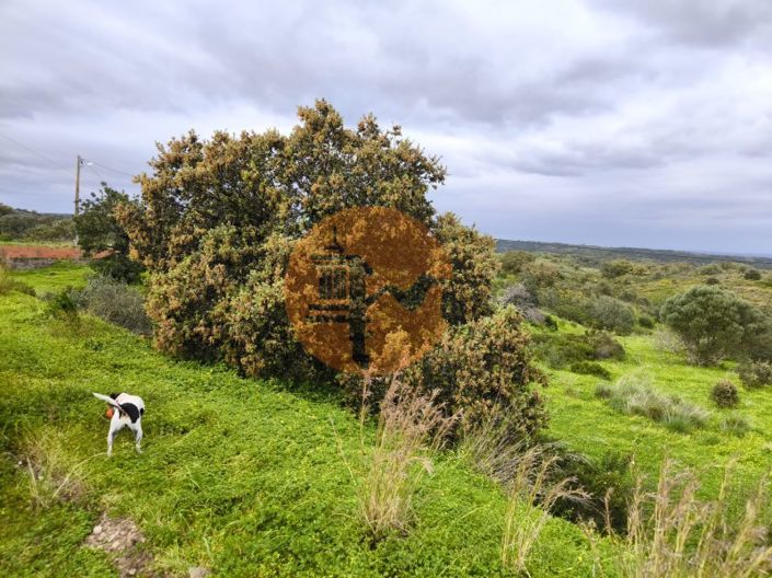 Image No.28-Plot for sale