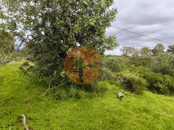 id50e4c101-0000-0500-0000-000018bc9c9a