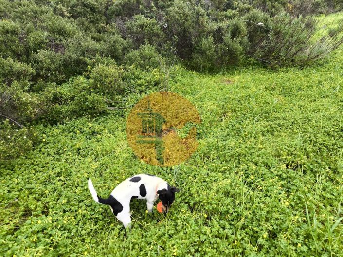 Image No.7-Plot for sale