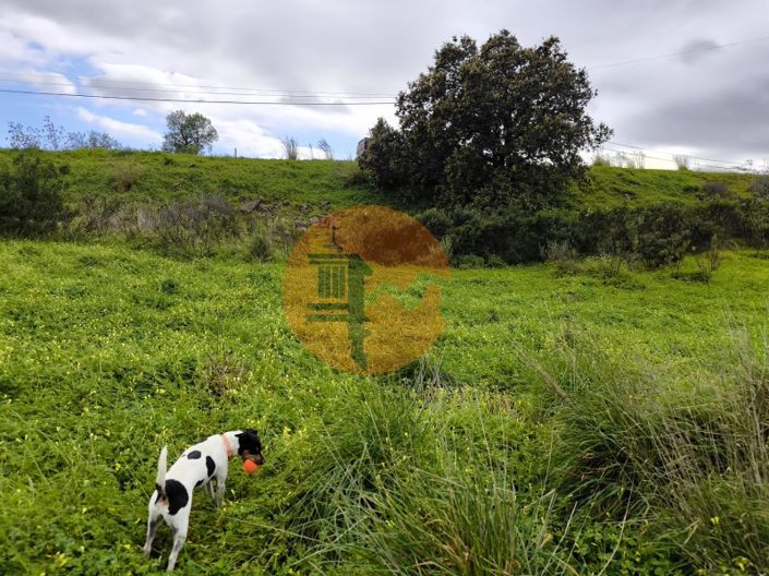 Image No.9-Plot for sale