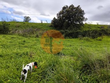 id50e4c101-0000-0500-0000-000018bc9c89