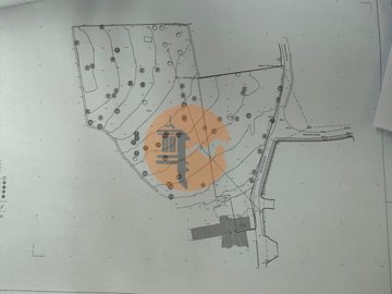 id8200c801-0000-0500-0000-000019360499