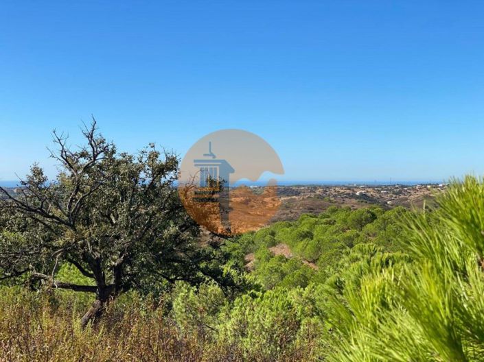 Image No.17-Plot for sale