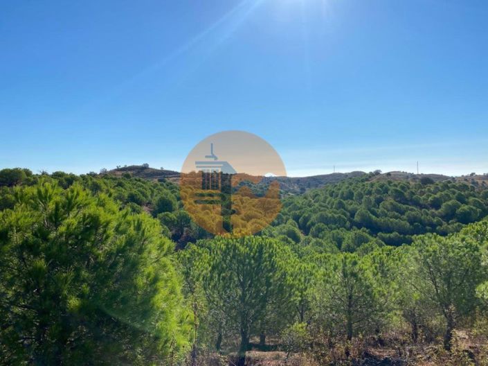 Image No.20-Plot for sale