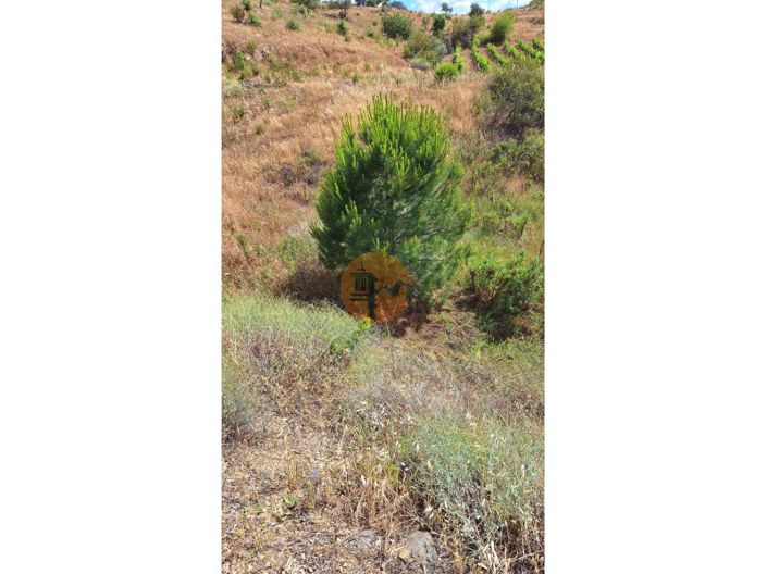 Image No.7-Plot for sale