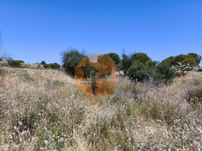 Image No.24-Plot for sale