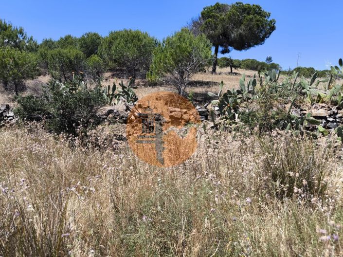 Image No.27-Plot for sale