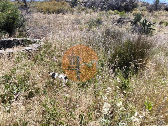 Image No.28-Plot for sale